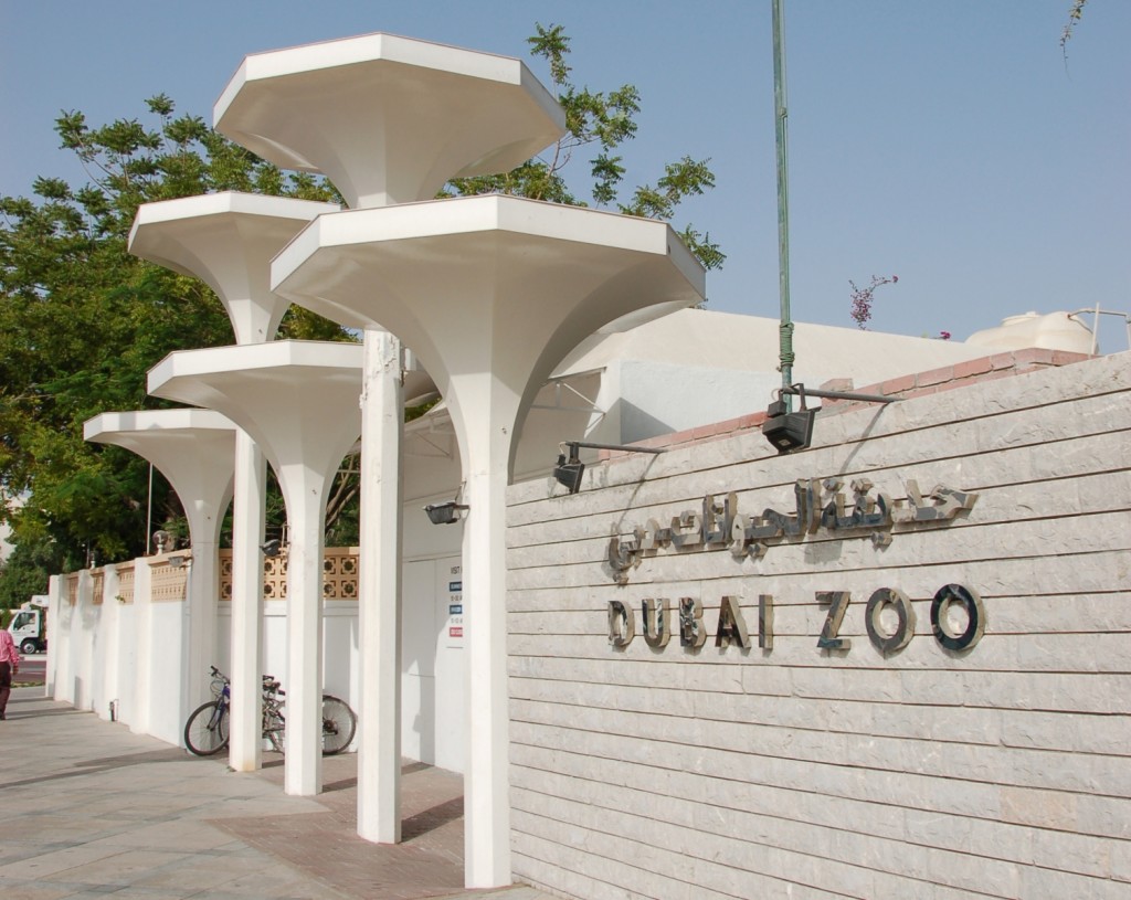 Зоопарк в Дубае