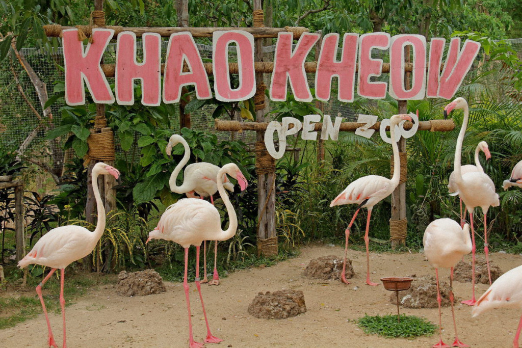 Khao Kheow Open Zoo Siracha, Thailand