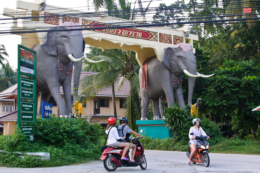 Слоновьи ворота