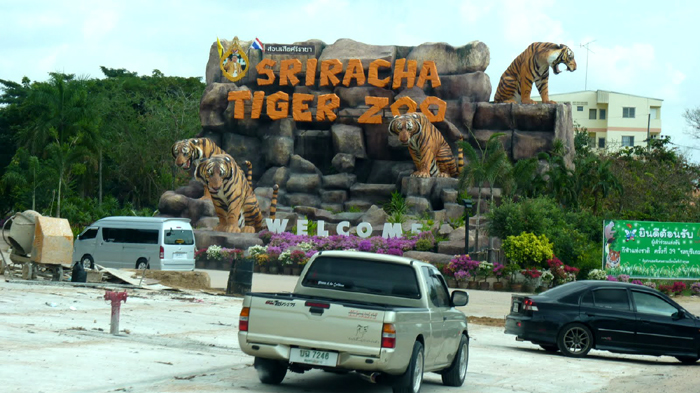 Тигровый зоопарк на Самуи